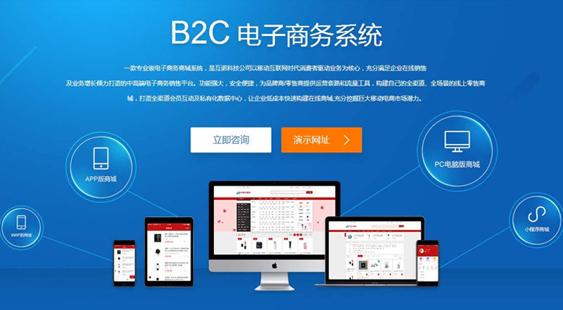 電子商務(wù)平臺(tái)軟件開發(fā) 電子商務(wù)平臺(tái)軟件開發(fā)