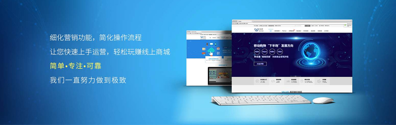 網站程序開發 網站程序開發