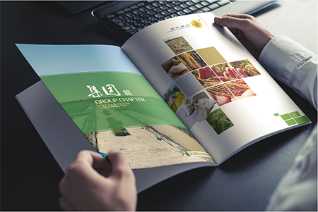 畫冊設計 畫冊設計