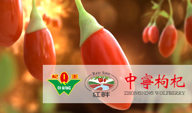 寧夏中寧枸杞產業發展股份有限公司